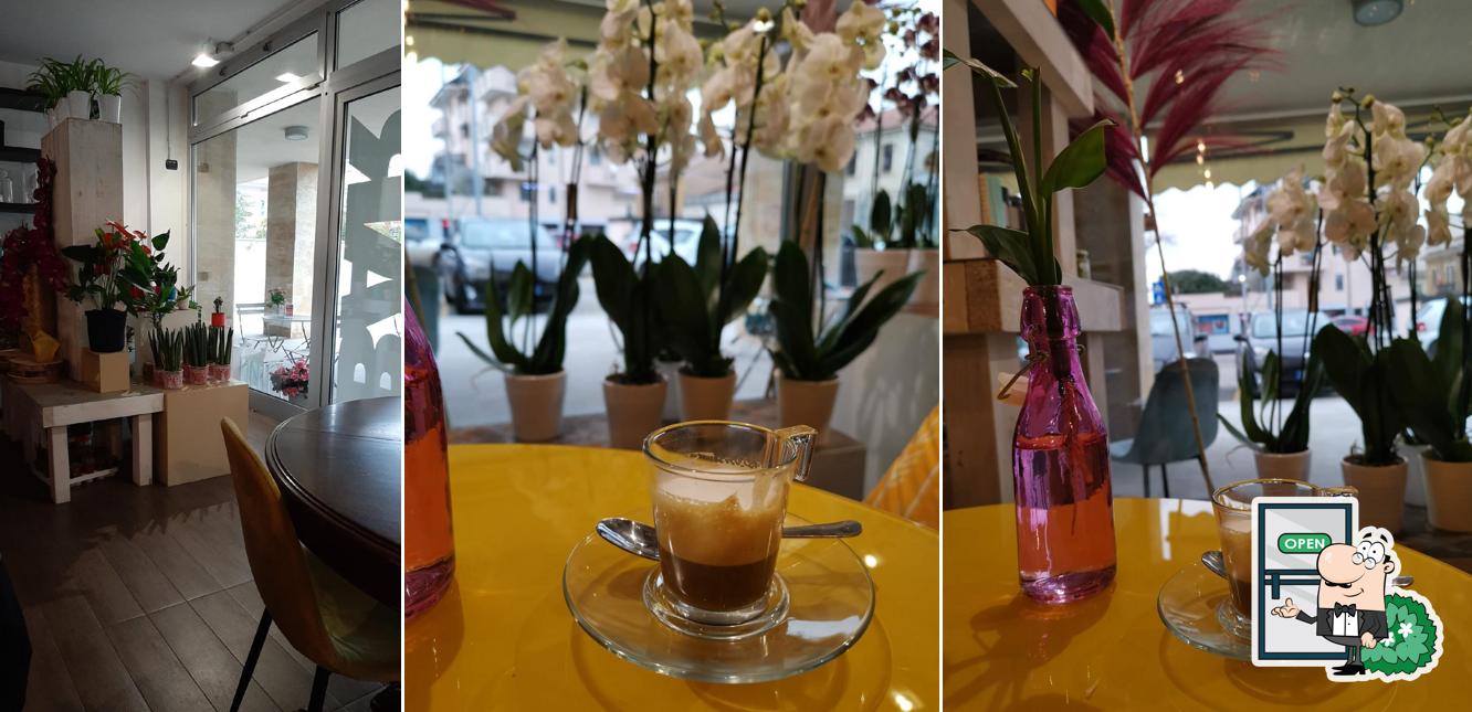 Gli esterni di Blute Flowers & Coffee