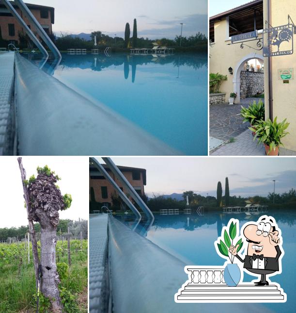 Agriturismo La Sercola Azienda Agricola