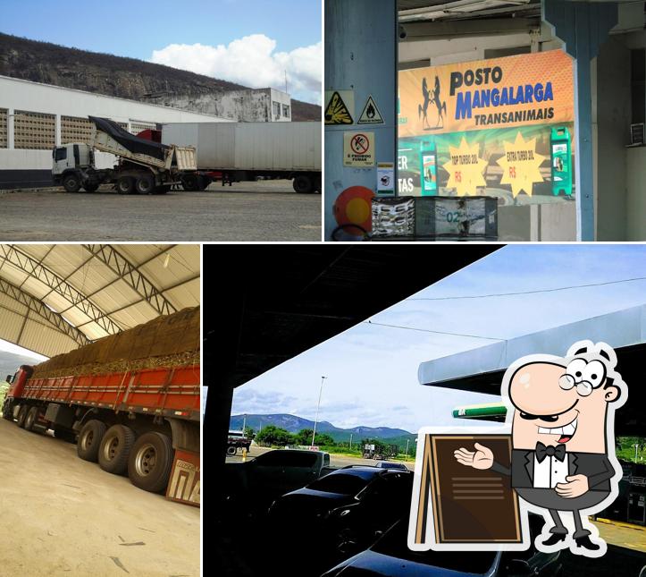 POSTO TRANSANIMAIS LTDA