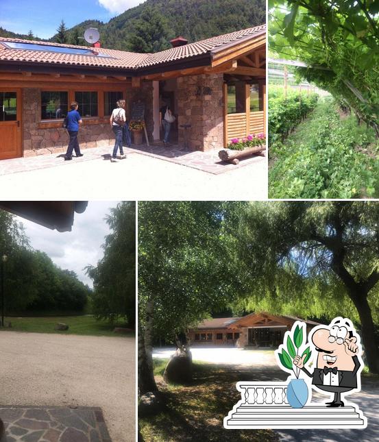 Gli esterni di Agriturismo Paolazzi