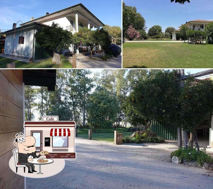 Gli esterni di Feudi 1165