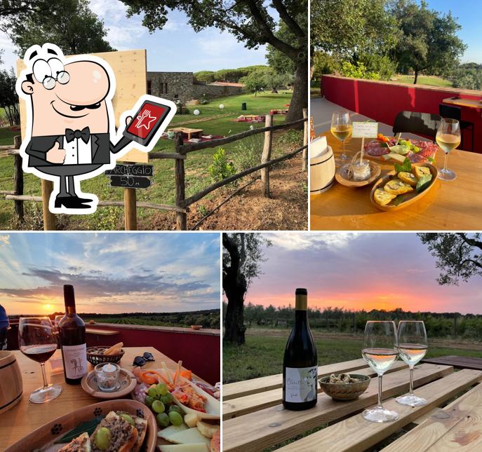 Goditi la vista dagli esterni di LQ - Le Querce - Wine Tasting