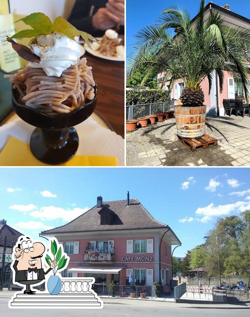 Cafe Münz Ins