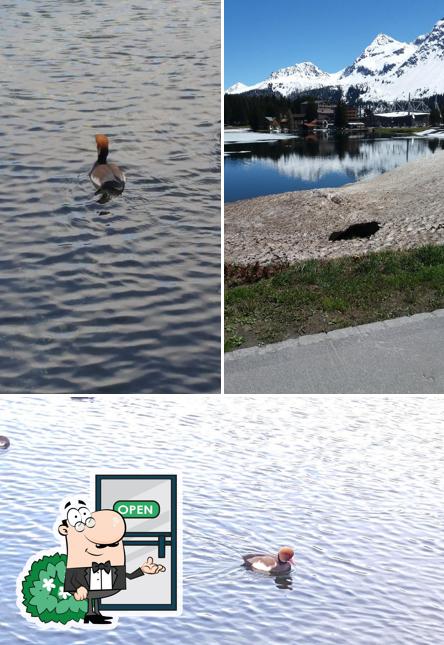 Goditi la vista dall'area esterna di Pizza & Kebab Bar