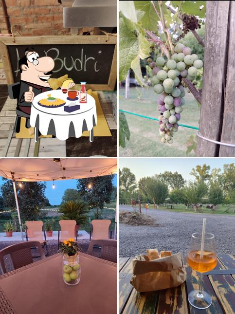 Piatto di formaggi al Al Budri Agriturismo