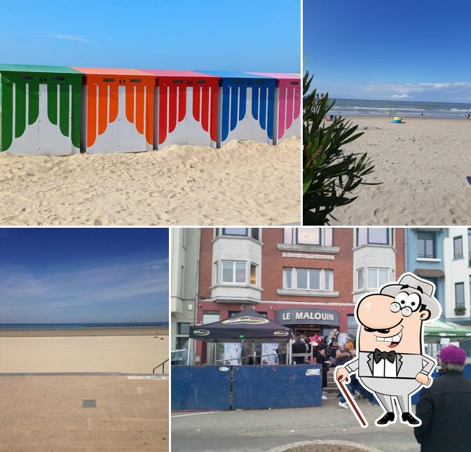 Le Malouin