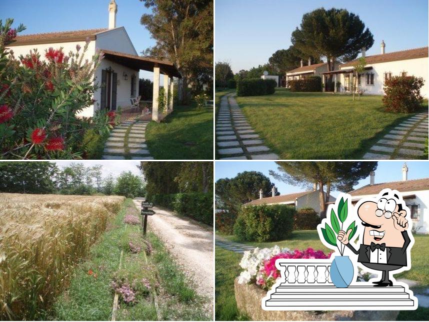 Goditi la vista dagli esterni di L'Orto di Lucania