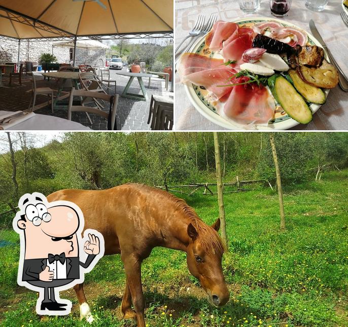 Ecco un'immagine di Agriturismo AgriBernardo