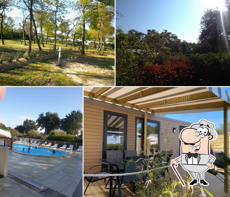 Camping La Cailletière