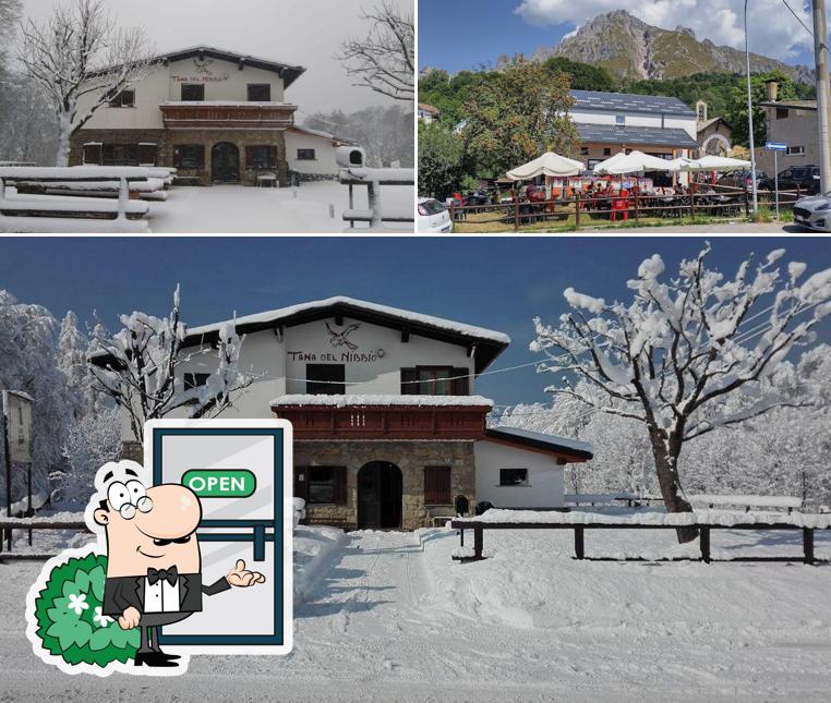 Guarda gli esterni di Tana del Nibbio