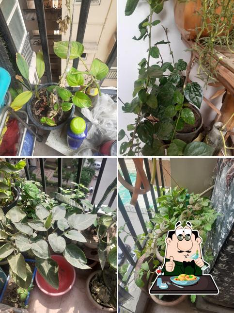 Meals at The Kitchen Garden