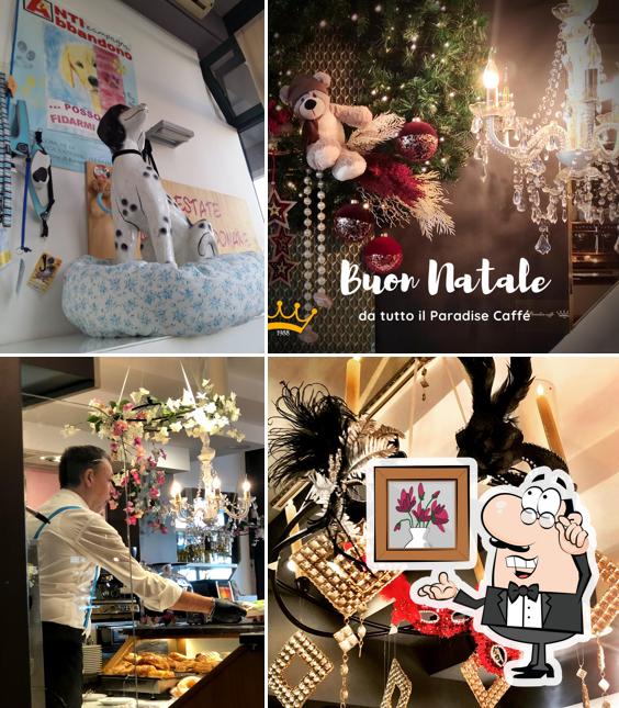 Dai un'occhiata agli interni di Paradise Caffè