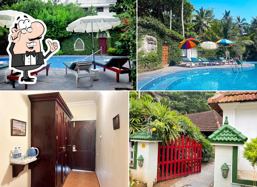 Check out how Molly's Retreat looks inside