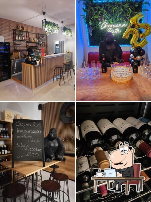 Gli interni di Chervona Ruta di Sofiya Enoteca, Vineria, birreria