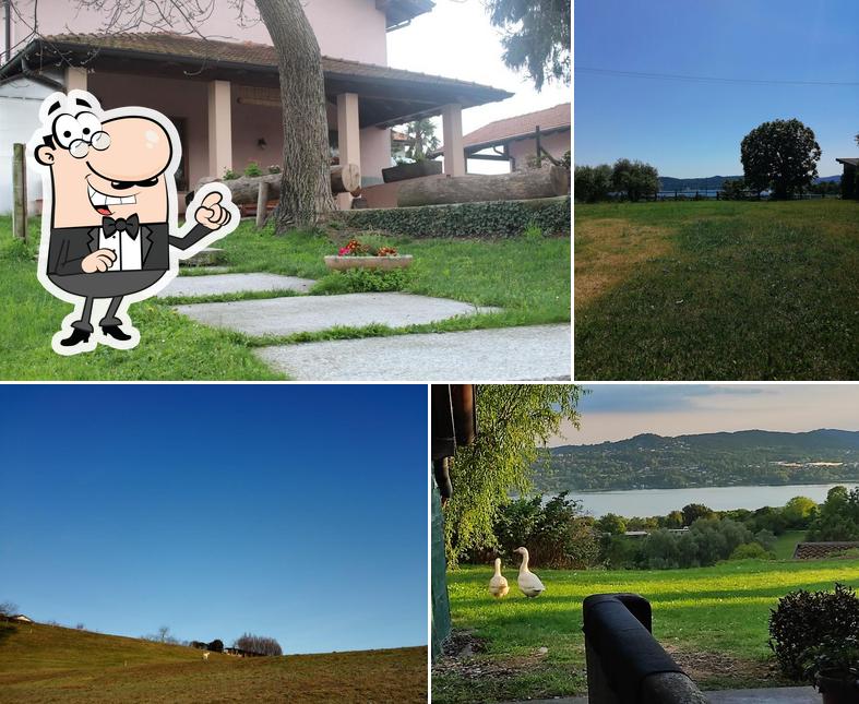Guarda gli esterni di Agriturismo Il Ronco di Casarico