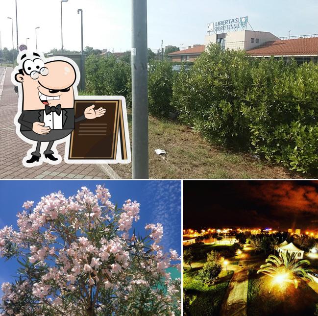 Curiosa tra la parte esterna di Libertas Sport Tennis Livorno