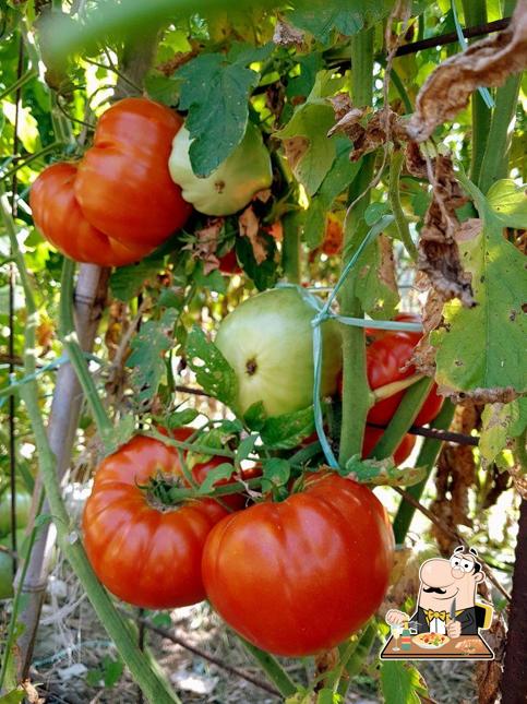 Platti al Osteria Cascina dei Fiori