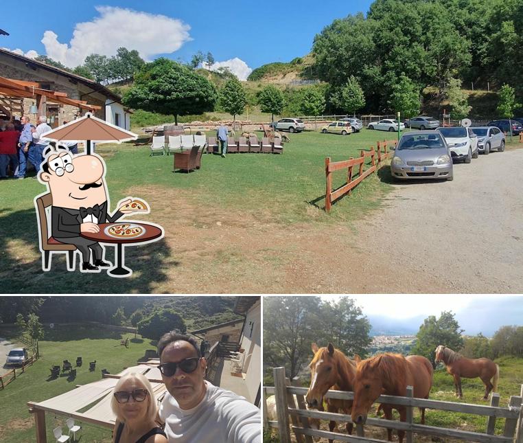 Curiosa tra l'area esterna di Agriturismo Ferrari