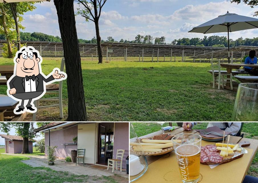 Tra le diverse cose da Agriturismo al Privilegio si possono trovare la interni e seo_images_cat_40