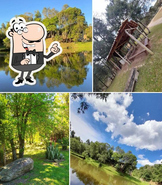 Pesque Pague Morro das Pedras