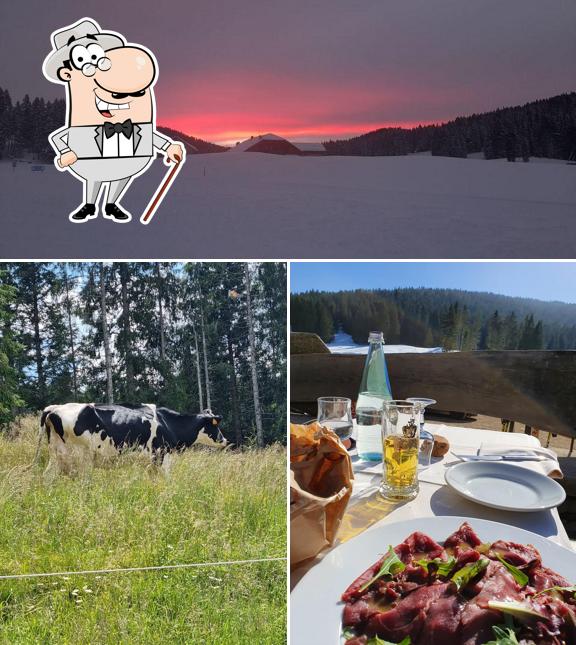 Gli esterni di Centro Fondo Campolongo