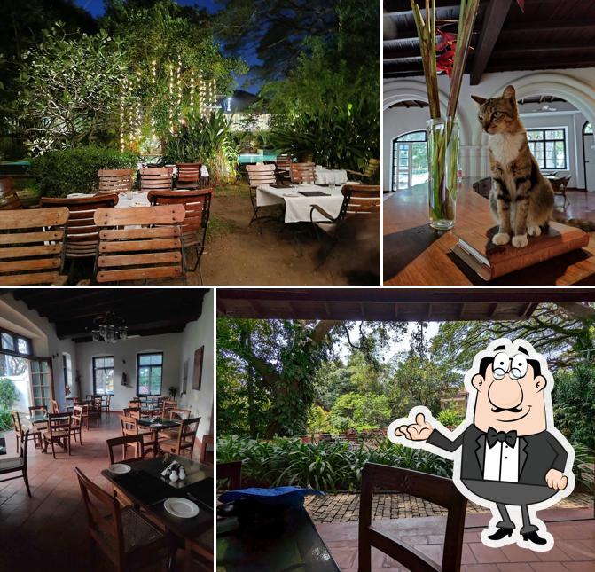 Check out how Old Harbour Restaurant looks inside