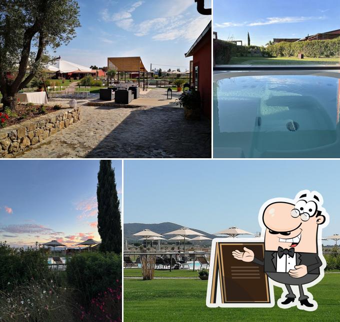 Curiosa tra l'area esterna di AgriResort Podere Maremma