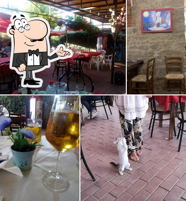 Tre Gatti Pizzeria Pub