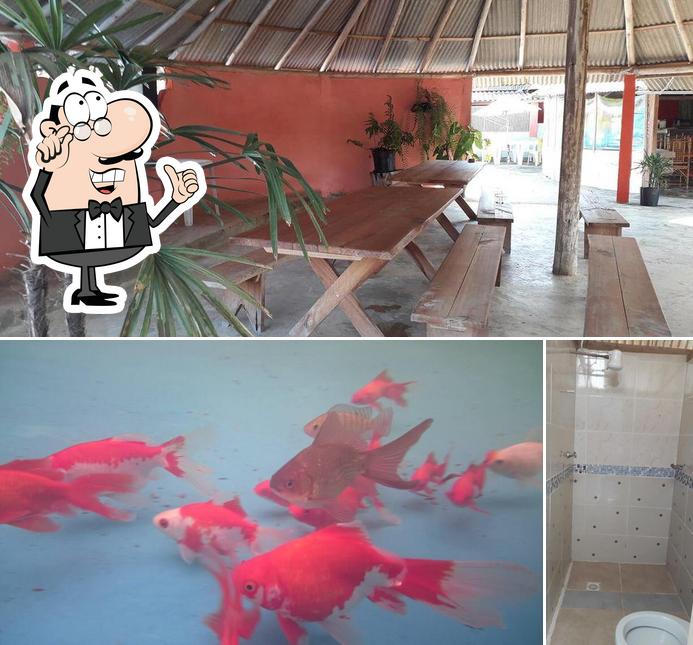 Clube Aquático Roda D'água Espera Feliz MG