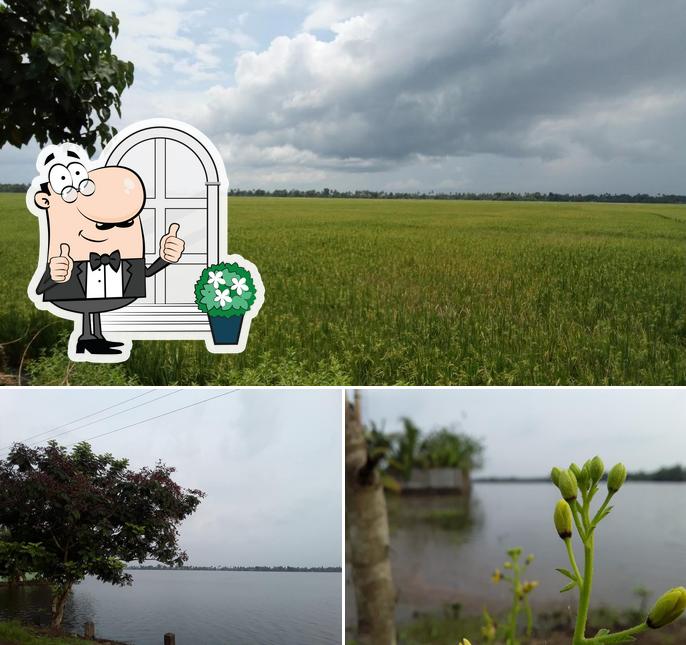 Enjoy the view outside Kozhichal Family Restaurant