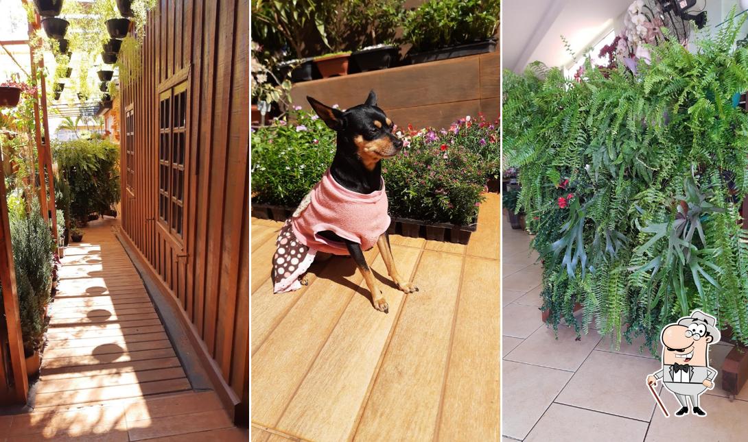 Você pode espairecer no na área externa do Flor Art Jóias - Floricultura e Paisagismo