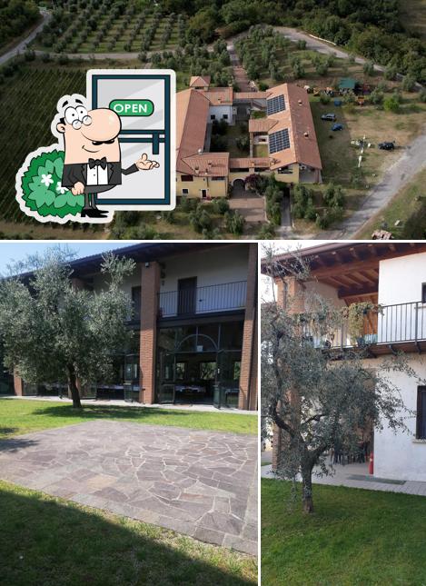 Guarda gli esterni di Agriturismo La Sercola Azienda Agricola