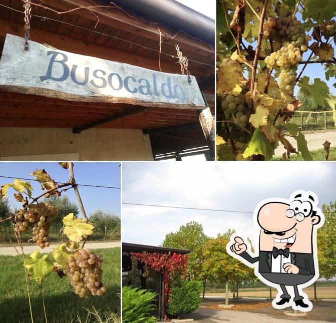 Curiosa tra l'area esterna di Antica Osteria Busocaldo