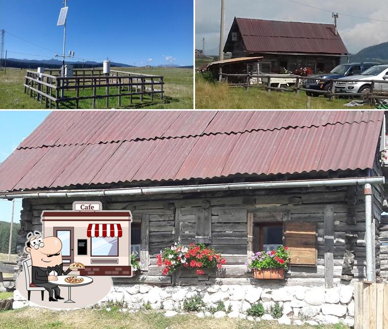 Curiosa tra gli esterni di Rifugio Marcesina