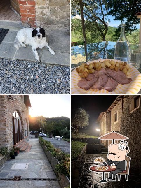 Gli esterni di Agripodere Il Falco