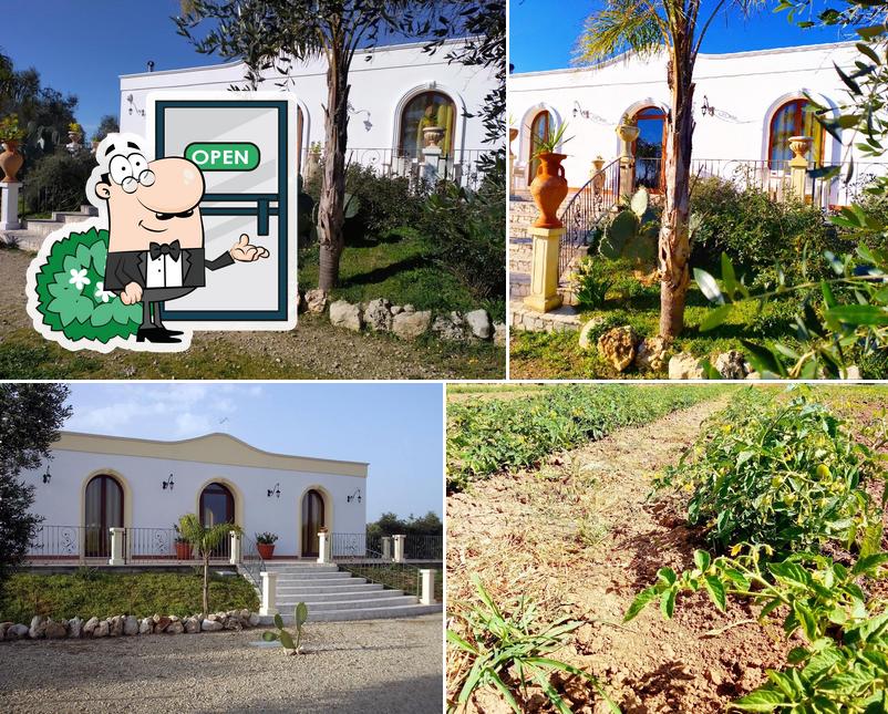Guarda gli esterni di Agriturismo Santa Barbara