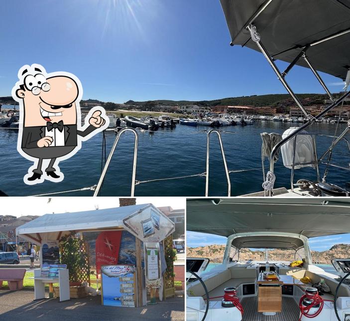 Gli esterni di Dea del Mare Shardana Sail