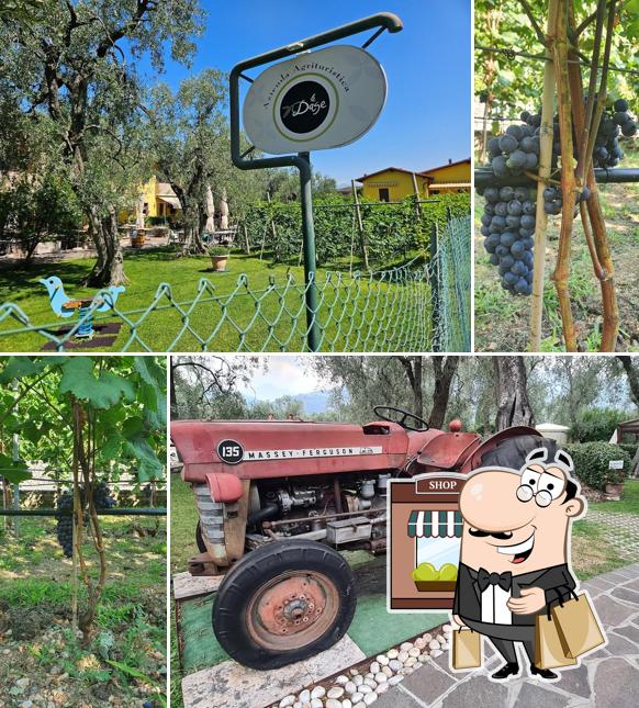 Gli esterni di Agriturismo Le Dase