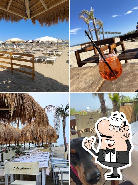 Gli interni di Lido Aurora