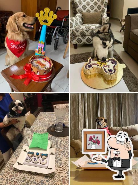Check out how The Floof Pet Bakery ( Gourmet Dog cakes and more , made to order) looks inside