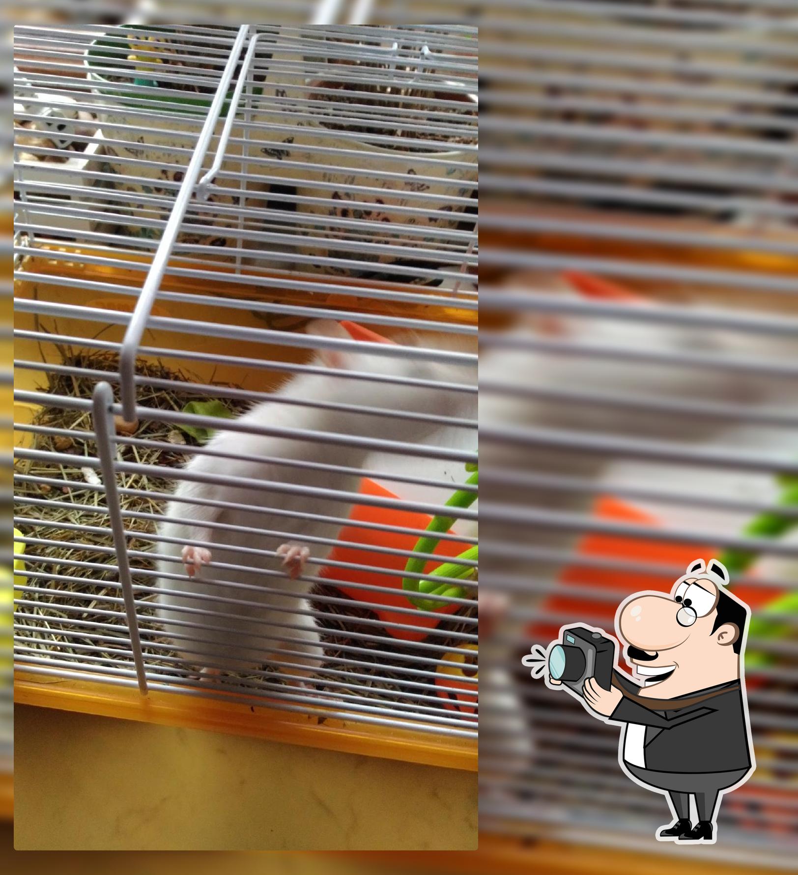 Forneria Fratelli Ghidini