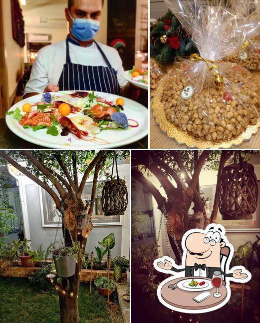 Radis Trattoria Moderna