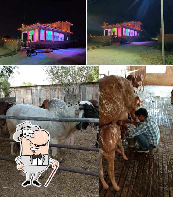The exterior of Shiv Shakti Dairy Fram