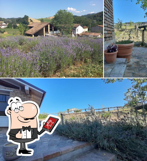 Guarda gli esterni di La Locanda del Molino Azienda Agricola Madreselva