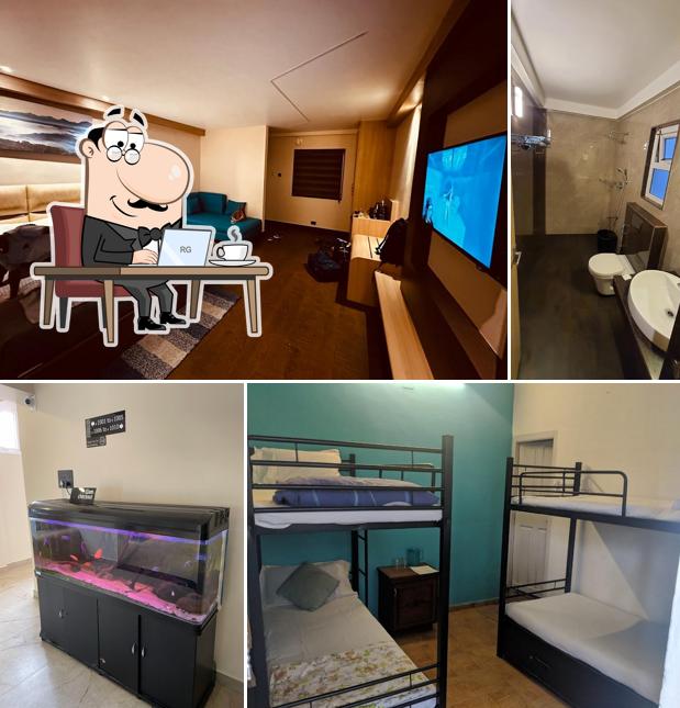 Check out how TRIDENT looks inside
