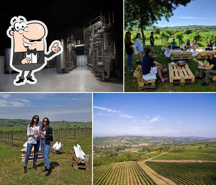 Bosco Longhino - Az. Agr. vitivinicola e agrituristica