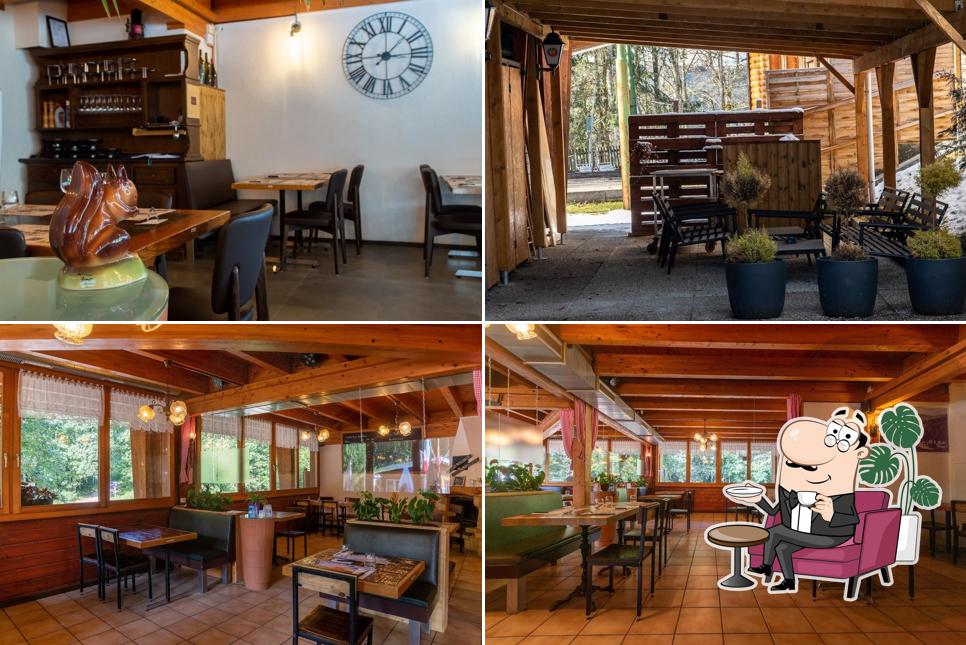 Dai un'occhiata agli interni di l'Ecureuil