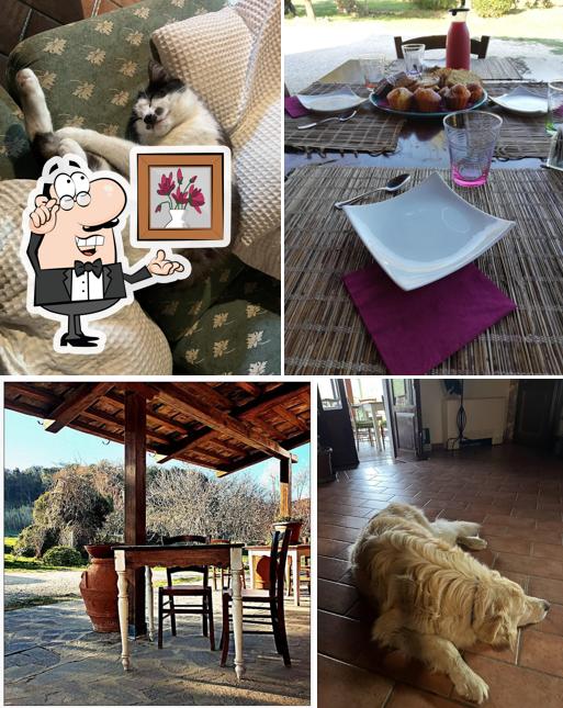 Questa è la immagine che mostra la interni e cibo di Agriturismo Podere i Livelli