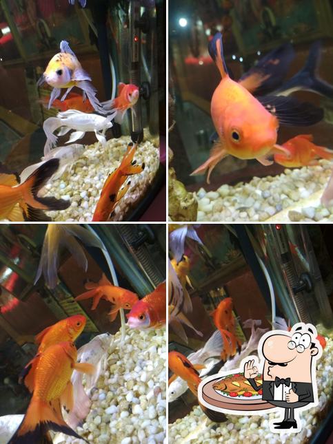 Singhjir Hotel & Restaurant