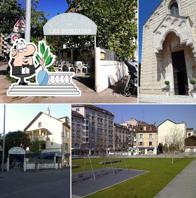 Gli esterni di Platane